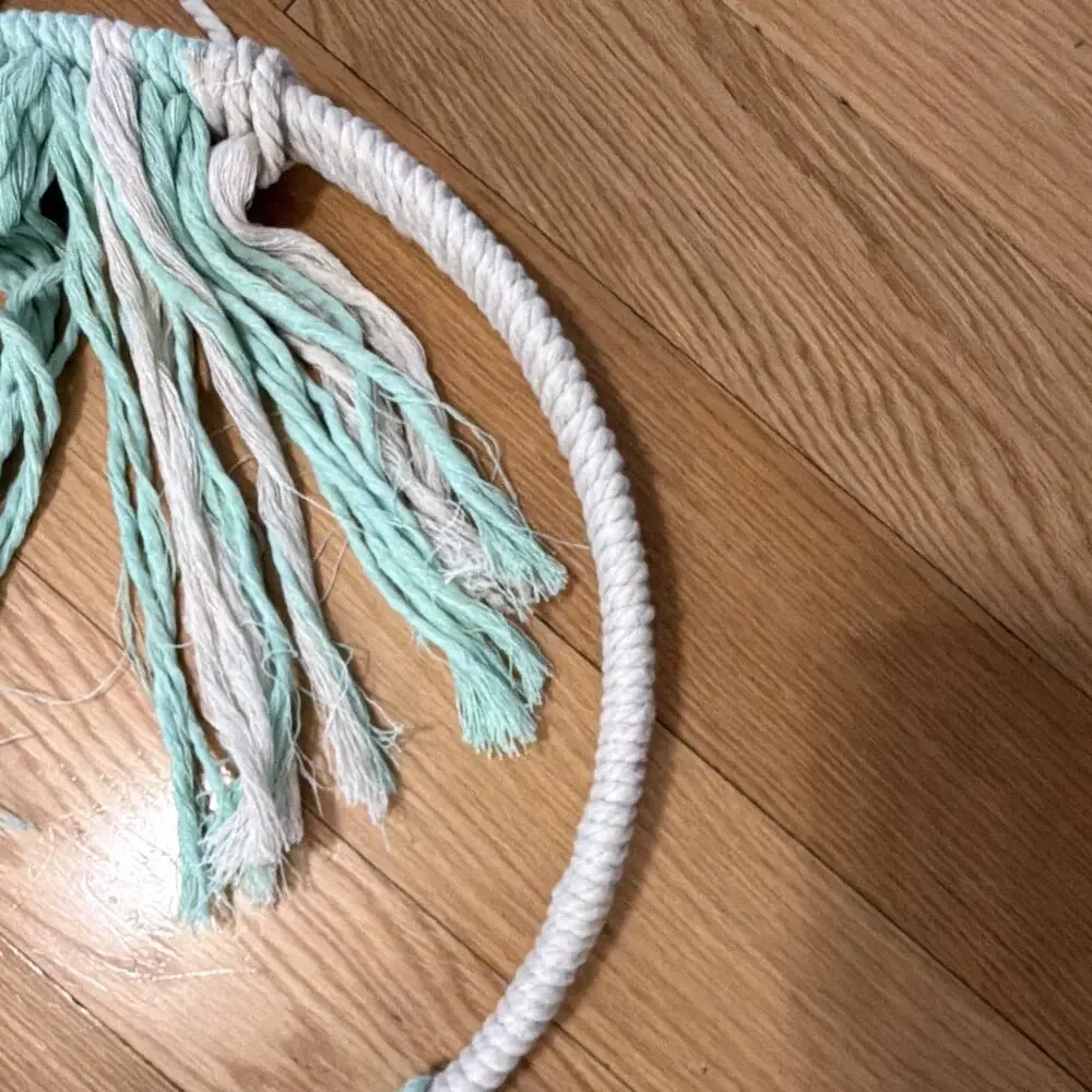 Handmade Macrame Wall Hanging Hoop Dreamcatcher Mint White Fringe Beads